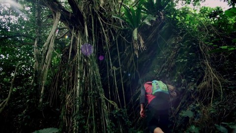 E3 2014 - Nouvelle vidéo pour Pokémon Omega Ruby / Alpha Sapphire