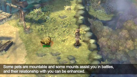 Présentation du système de montures de Tree of Savior