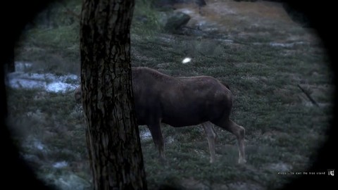 Bande-annonce de theHunter