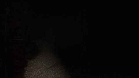 Premier teaser d'Alone in the Dark - Illumination