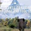 Aperçu des éléphants de Kyrat de Far Cry 4