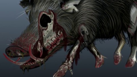 Et si le virus H1Z1 touchait aussi les animaux ?