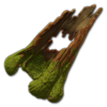 Prop-Hollowed old growth tree 1.png