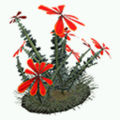 Prop-Red desert flower.png