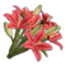 Icon props Theme Human Decorations Flowers LiliesBouquet01 Red 256.png