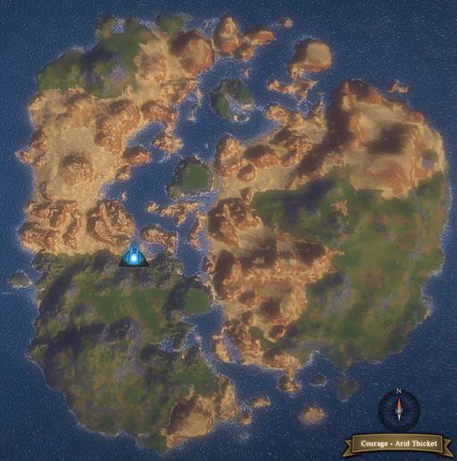 Continent-Arid Thicket.jpg