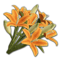 Icon props Theme Human Decorations Flowers LiliesBouquet01 Orange 256.png