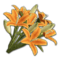 Icon props Theme Human Decorations Flowers LiliesBouquet01 Orange 256.png
