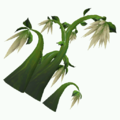Plant-Silkfall.png
