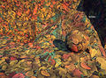 Landmark Texture-Dirt-Autumn Leaves.jpg