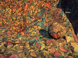 Landmark Texture-Dirt-Autumn Leaves.jpg