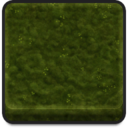 Icon material Biome OldGrowthForest Medium Moss01 256.png