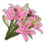 Icon props Theme Human Decorations Flowers LiliesBouquet01 Pink 256.png
