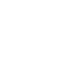 Icon itemCategory weapons common 256.png