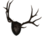 Mounted Antlers.png