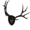 Mounted Antlers.png