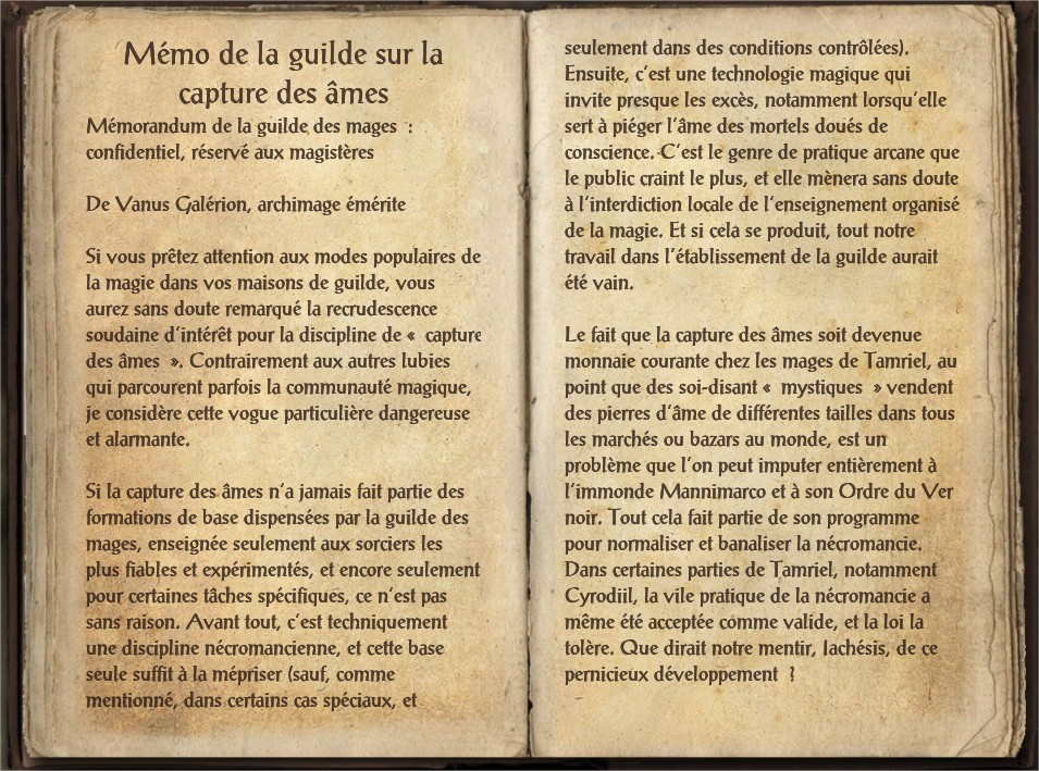 Les notes de la guilde sur la capture des âmes1.jpg