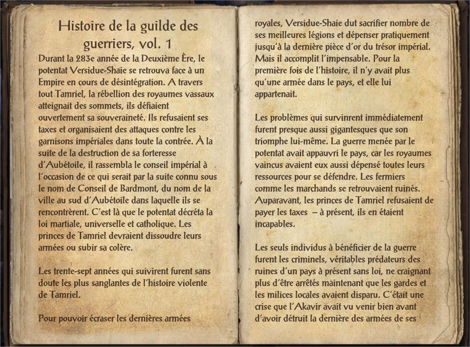 Histoire de la guilde des guerriers, vol. 1-1.jpg