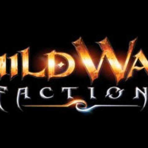 Guild Wars Factions - Excellent !