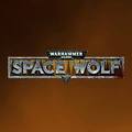 Warhammer 40 000 - Space Wolf