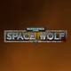 Warhammer 40 000 - Space Wolf