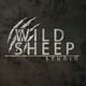 Wild Sheep Studio