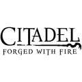 Citadel: Forged with Fire