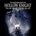 Hollow Knight Hollow Knight