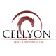 Cellyon, Boss Confrontation