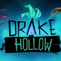 Drake Hollow