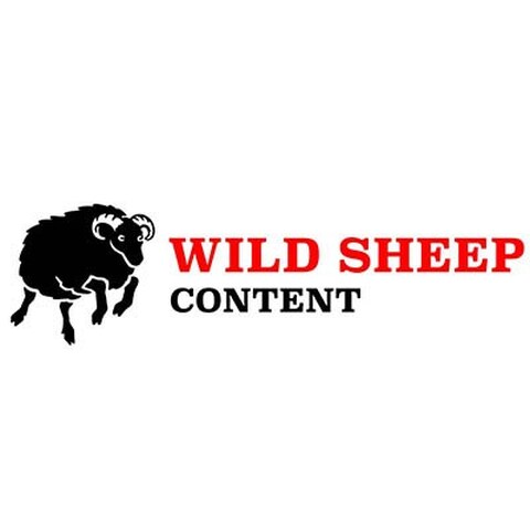 Wild Sheep Content - Vers une adaptation en prises de vue réelles de Kingdom Come: Deliverance