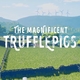 The Magnificient Trufflepigs
