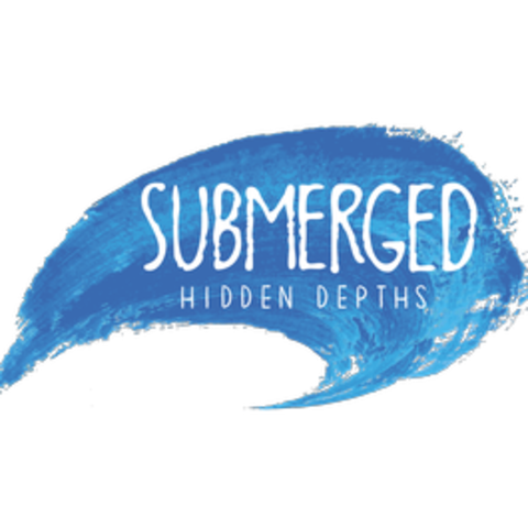 Submerged: Hidden Depths - Test de Submerged: Hidden Depths - Comme une mer qui manque de sel