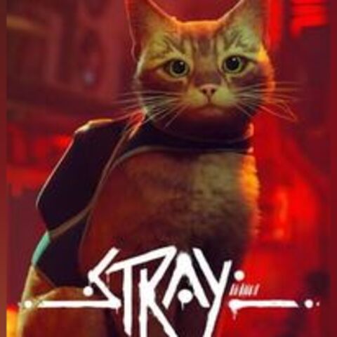 Stray - Le groupe Annapurna va adapter le jeu Stray en film d'animation