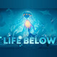 Life Below