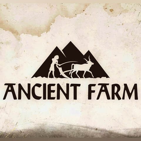 Ancient Farm - Promo Gamesplanet : la simulation agricole antique Ancient Farm se lance à -25%