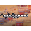 Soulbound