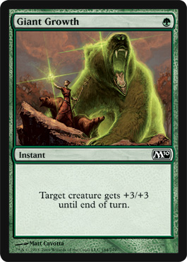 Image de Magic 2010