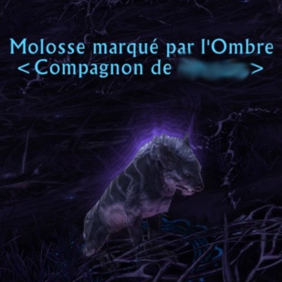 Molosse marqué par l'Ombre