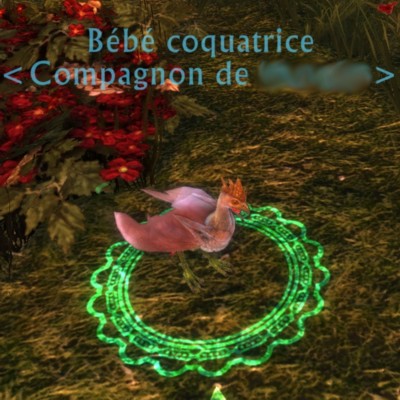 Rift - Compagnons