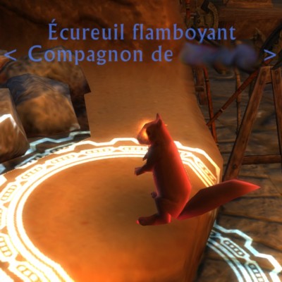 Ecureuil flamboyant