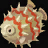 Icônes poissons - Imagespoissons Poisson globeradieux