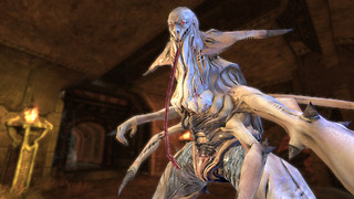 Caverne Shadow Ravine