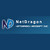 Logo de NetDragon