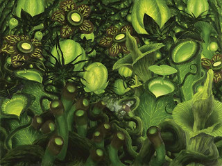 Illustration du Khalni Garden