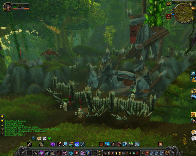 Bêta Cataclysm : Kalimdor vu du ciel - Féralas 01