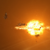 Athanor explosion