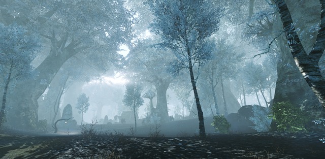 Map Archeage - White forest