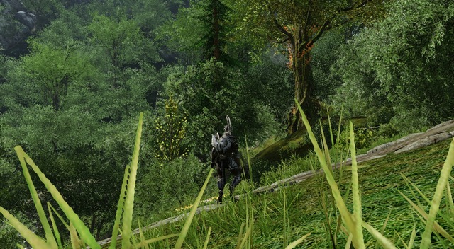 Images d'ArcheAge