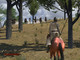 Images de Mount and Blade